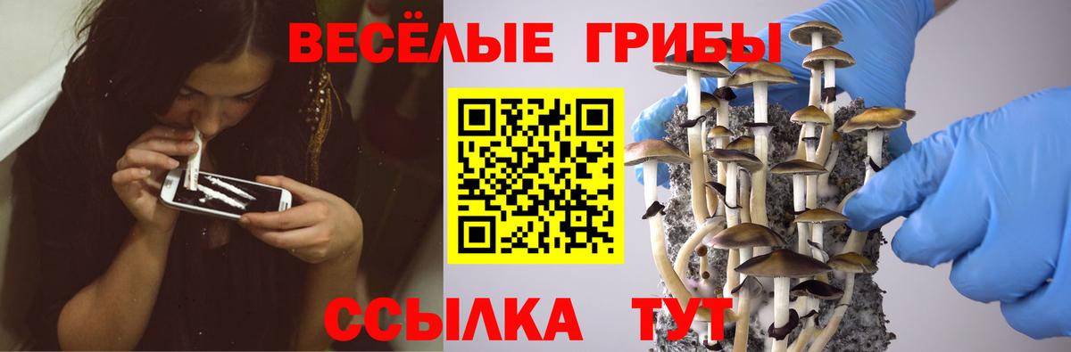 Псилоцибиновые грибы Psilocybe Кушва
